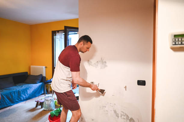 Best Professional Mold Removal  in South Pasadena, FL